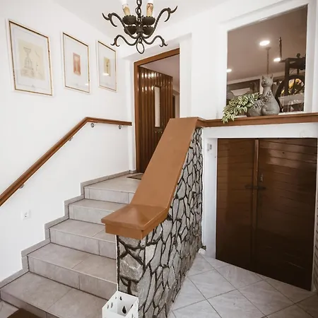 Chonky Cat Апартаменты